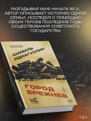 Город Брежнев - Фото 3