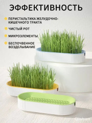 Набор для проращивания травы для кошек с семенами «Грин» - Фото 4