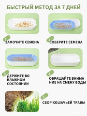 Набор для проращивания травы для кошек с семенами «Грин» - Фото 6