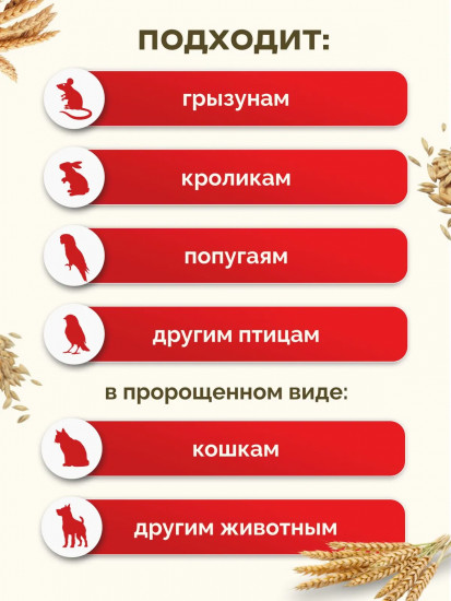 Корм для птиц и грызунов «Овес»