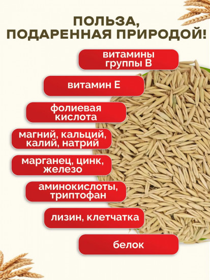 Корм для птиц и грызунов «Овес»