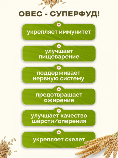 Корм для птиц и грызунов «Овес»