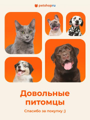 Комплект зубных щеток для собак и кошек на палец «Смайл» - Фото 6