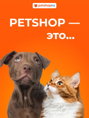 Набор игрушек-мячей с бубенчиком для кошек «Крис» - Фото 2