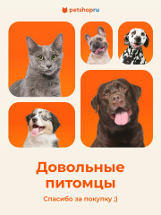 Набор игрушек-мячей с бубенчиком для кошек «Крис» - Фото 6