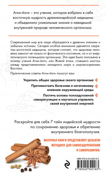 Искусство Агни-йоги. 7 ключей к здоровью тела и сознания