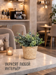 Эвкалипт искусственное растение в корзиночке - Фото 6