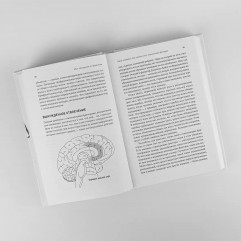 Мозг. Инструкция по применению. Как использовать свои возможности по максимуму и без перегрузок - Фото 4