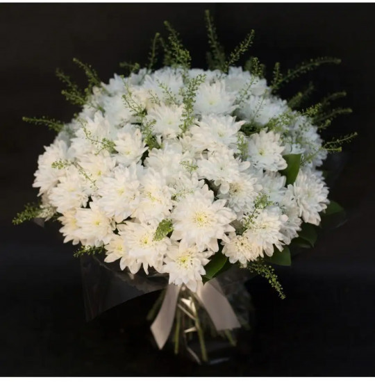 Семена хризантемы «Торжество»