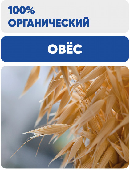 Крупа овсяная цельная