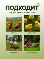 Кормушка для домашней птицы на 3 кг - Фото 3