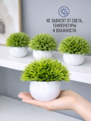 Набор искусственных растений в кашпо - Фото 4