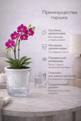 Горшок цветочный с автополивом - Фото 1