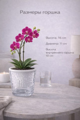 Горшок цветочный с автополивом - Фото 2