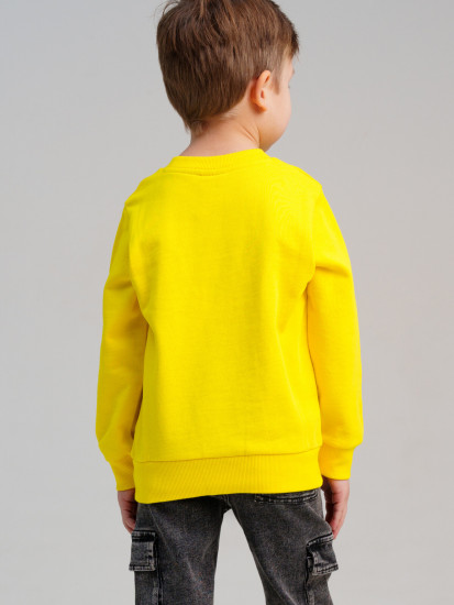 Свитшот для мальчиков