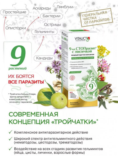 9-ка СТОПразит с лисичкой