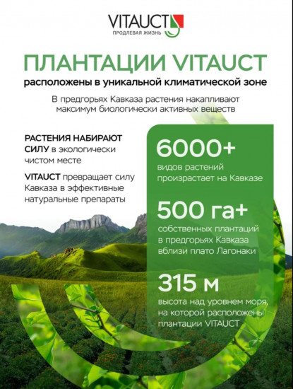 БАД «9-ка СТОПРразит с черным орехом»