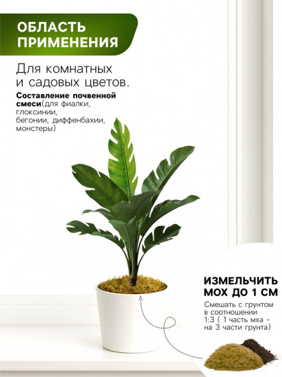 Мох сфагнум