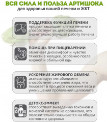 БАД «Артишок» - Фото 2