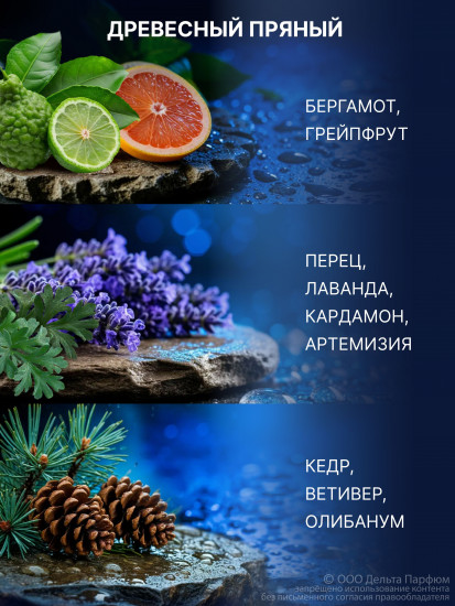 Туалетная вода «Favorit Blue Label»