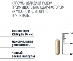 Комплекс для желудка и кишечника «GI Relief» - Фото 4