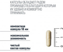 Бисглицинат железа - Фото 4