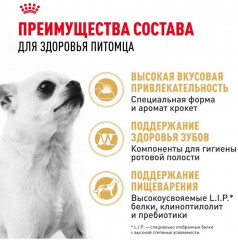 Корм сухой для собак породы чихуахуа «Chihuahua Adult» - Фото 5