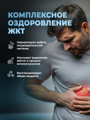 Желчегонный комплекс для желчного пузыря и печени «Лидань» - Фото 4