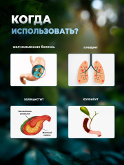 Желчегонный комплекс для желчного пузыря и печени «Лидань» - Фото 3