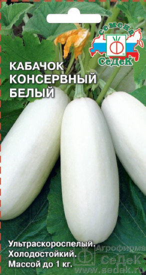 Семена кабачка «Консервный белый»