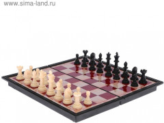 Магнитные шахматы - Фото 5