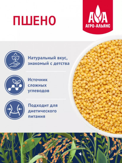 Пшено золотистое