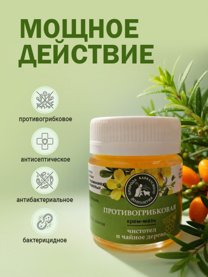 Противогрибковая мазь для ногтей и кожи с чистотелом и чайным деревом