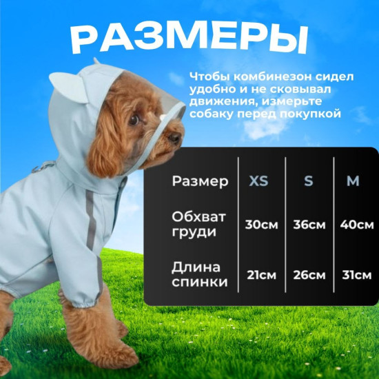 Лёгкий прогулочный комбинезон для животных