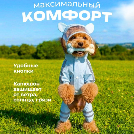 Лёгкий прогулочный комбинезон для животных