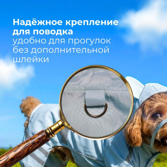 Лёгкий прогулочный комбинезон для животных