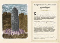 Маленький гримуар ведьмы. Зелья и волшебные травы - Фото 5