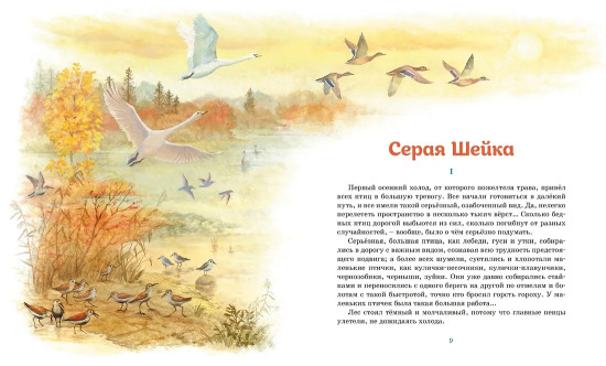 Серая шейка. Рассказы