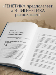 Предки завещали опасаться. Как травматическое наследие влияет на нашу жизнь и что можно изменить - Фото 7
