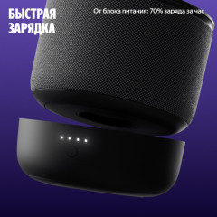 Аккумулятор YNDX-00650BLK для Станция Мини 3 Про - Фото 4
