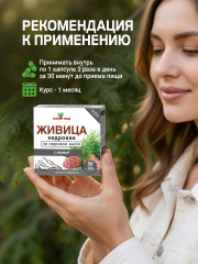 Капсулы Живица кедровая на кедровом масле с мумие - Фото 6