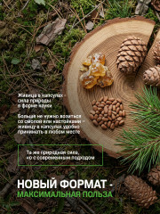 Капсулы Живица кедровая на кедровом масле с мумие - Фото 5