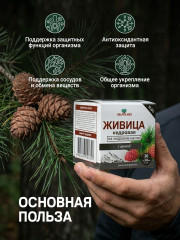 Капсулы Живица кедровая на кедровом масле с мумие - Фото 1