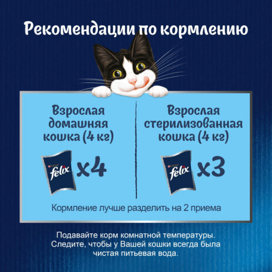 Набор кормов для кошек «Индейка в желе»