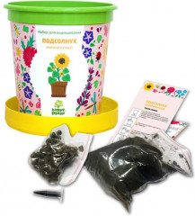 Набор для выращивания «Подсолнух миниатюрный» - Фото 1