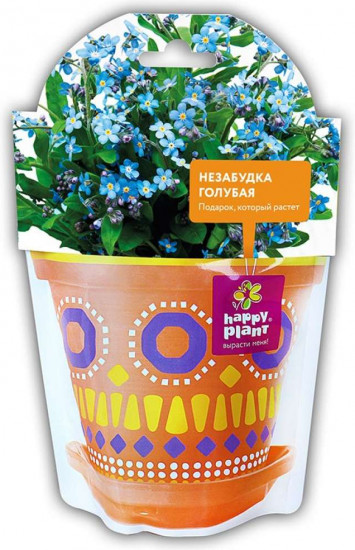 Набор для выращивания «Незабудка голубая»