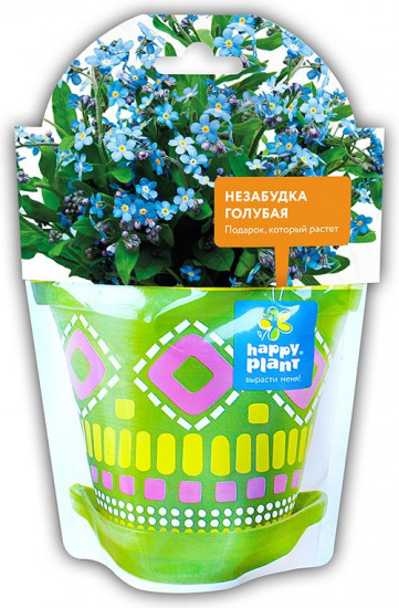 Набор для выращивания «Незабудка голубая»
