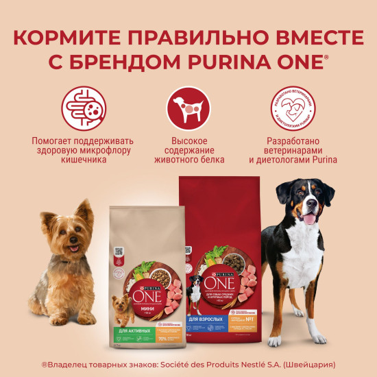 Сухой корм для щенков средних и крупных пород с курицей и рисом