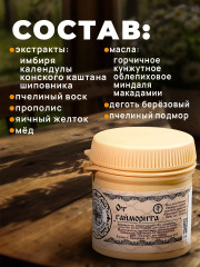 Мазь от гайморита, насморка, отита, заложенности - Фото 4
