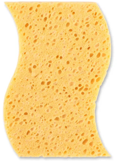 Губка
